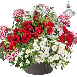 Afbeelding van HP30 XXL Mix 11